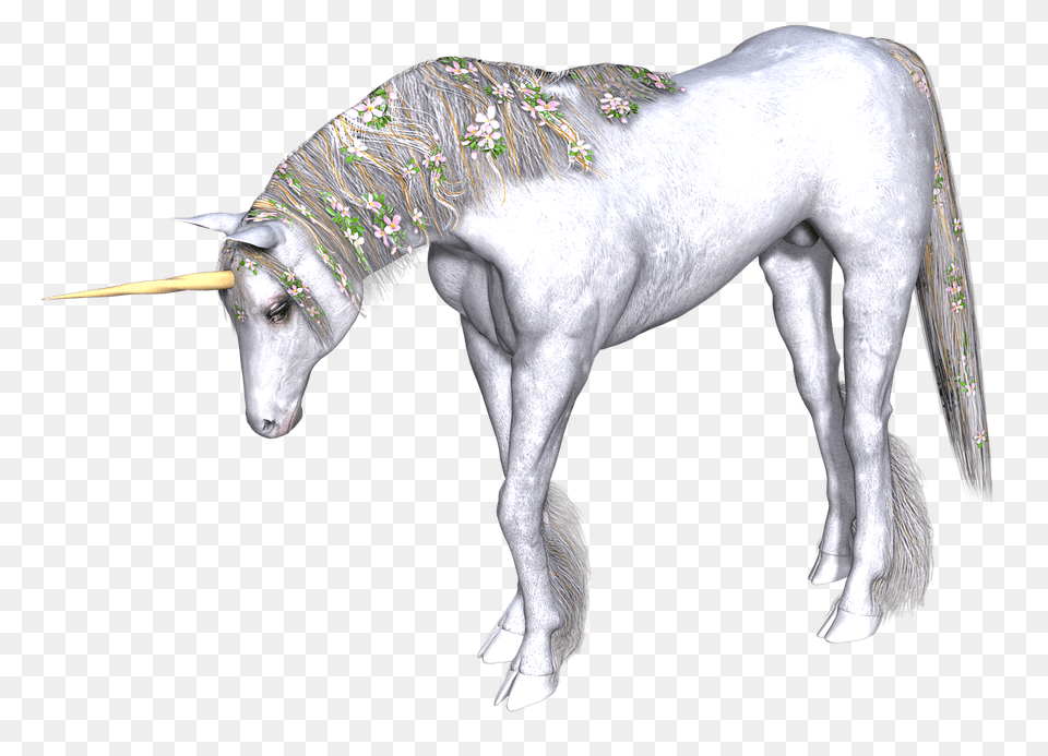 Full White Unicorn Head Down, Art, Animal, Horse, Mammal Free Png Download