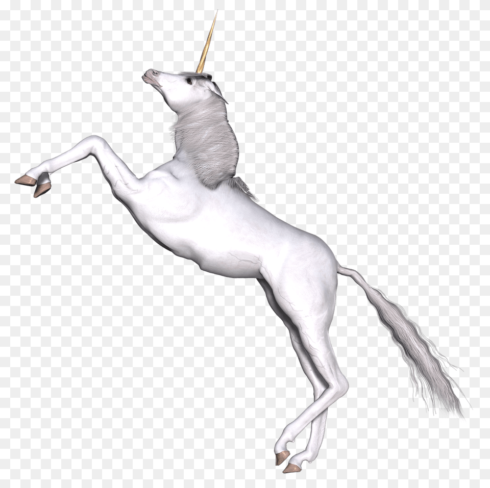 Full White Unicorn Prancing, Animal, Bird, Kangaroo, Mammal Png Image
