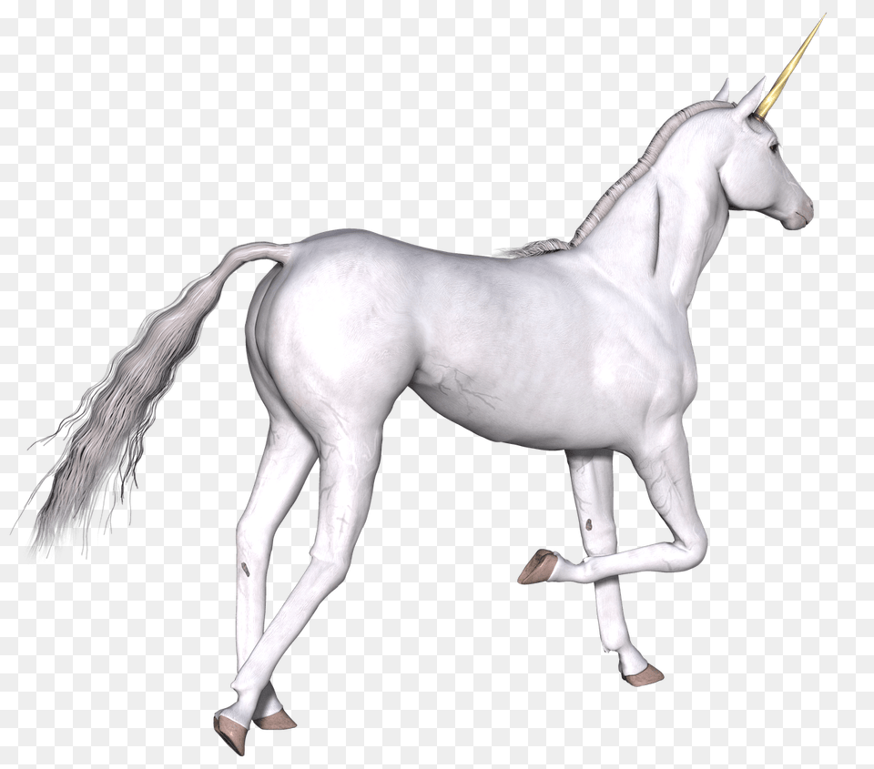 Full White Unicorn Right Leg Up, Animal, Horse, Mammal, Art Free Transparent Png