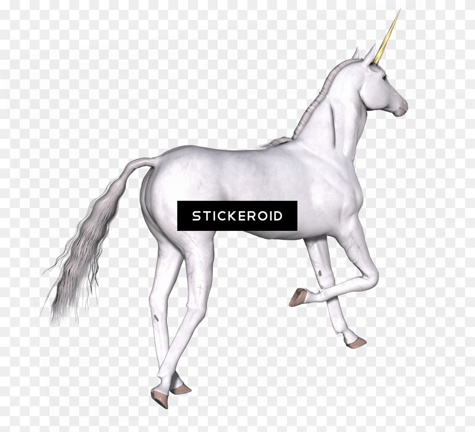 Full White Unicorn Right Leg Up Harry Potter Unicorn, Animal, Horse, Mammal, Andalusian Horse Free Transparent Png