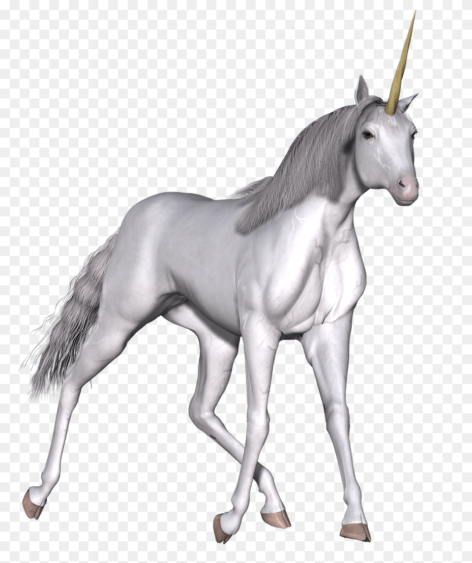Full White Unicorn Walking, Andalusian Horse, Animal, Horse, Mammal Free Png Download