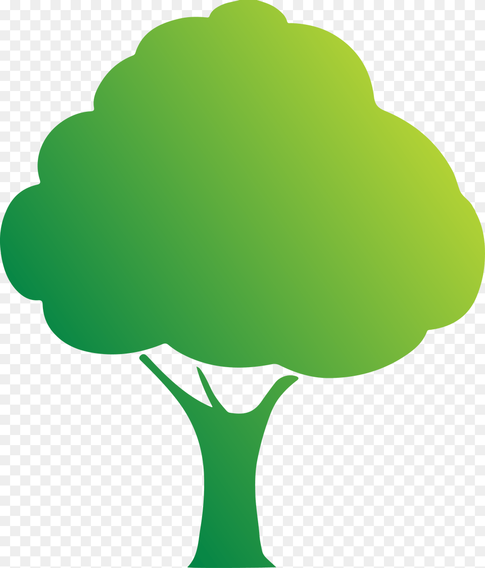 Fully Insured Estimates No Hidden Charges Green Tree Icon, Broccoli, Food, Plant, Produce Free Transparent Png