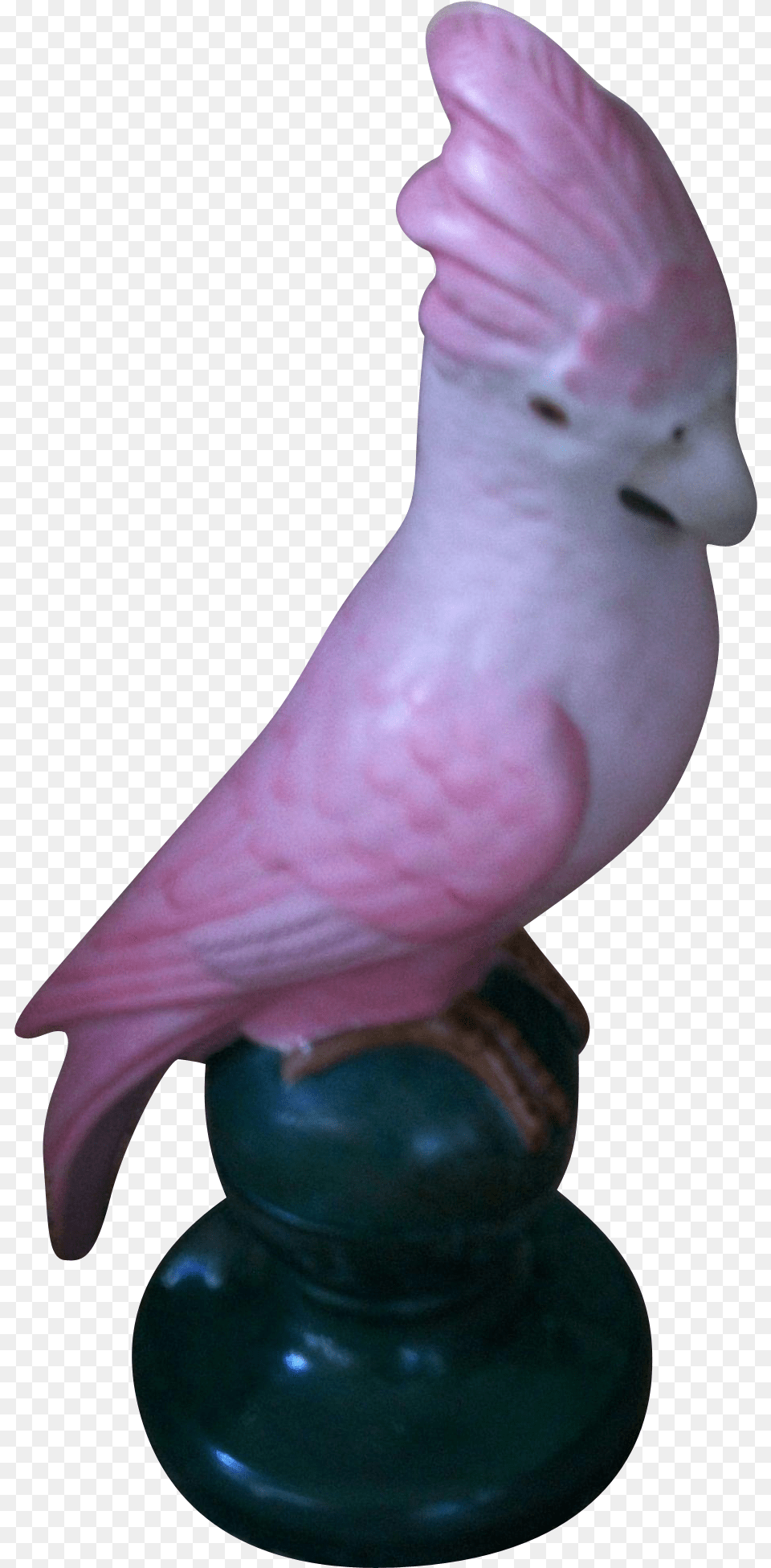 Fulper Parrot Cockatoo Perfume Motif Boudoir Lamp 1910 1929 Cockatoo, Animal, Baby, Bird, Person Png Image