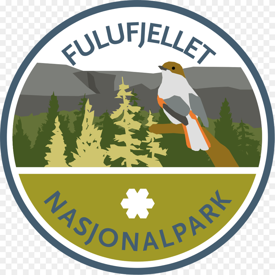 Fulufjellet Nasjonalpark, Tree, Plant, Vegetation, Logo Png Image