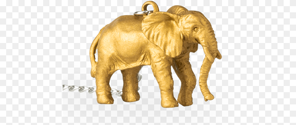 Fun Infuser Gold Elephant Indian Elephant, Animal, Mammal, Wildlife Free Png