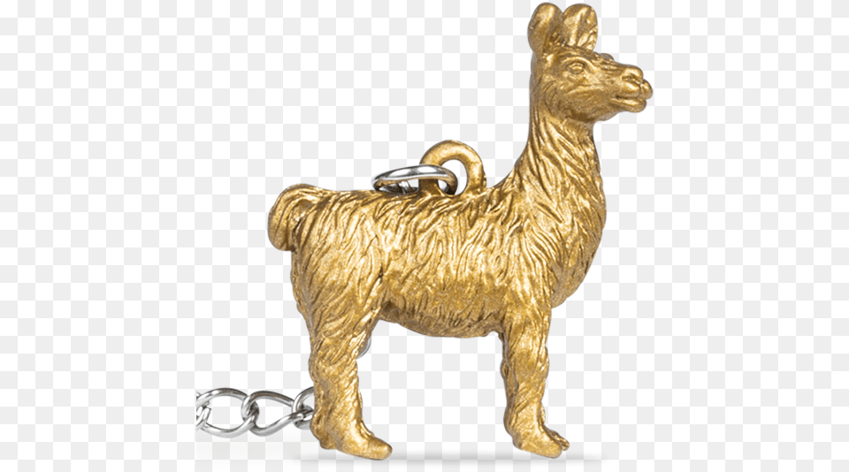 Fun Infuser Zoo Brew Llama Llama, Animal, Antelope, Mammal, Wildlife Png Image