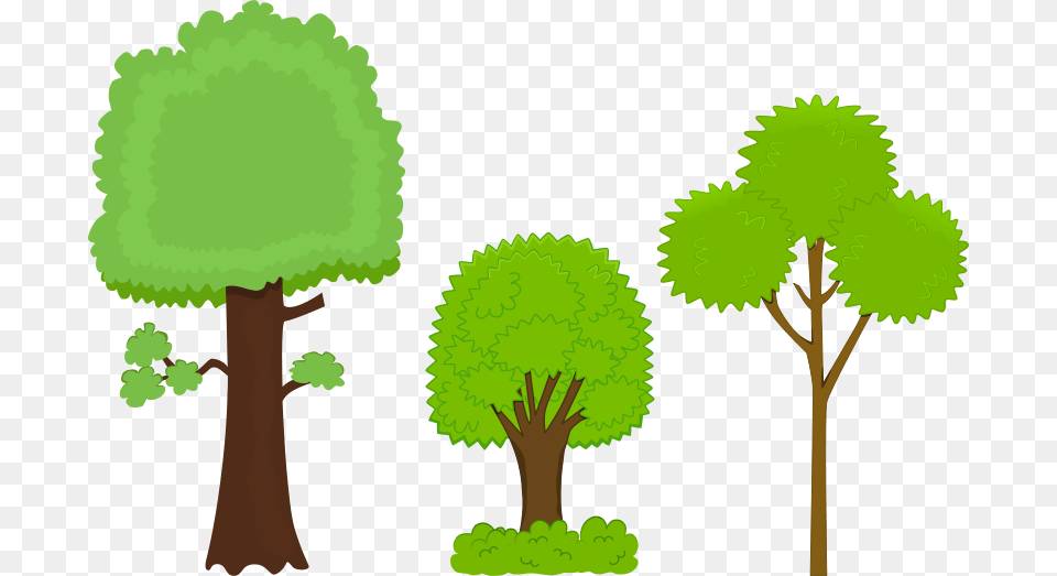 Fun Morning Cliparts, Green, Vegetation, Tree, Plant Png Image
