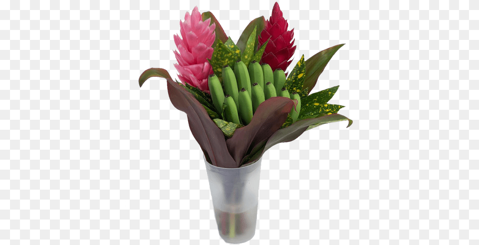 Fun Rainbow Tropical Centerpieces Red Ginger, Flower, Flower Arrangement, Flower Bouquet, Plant Png