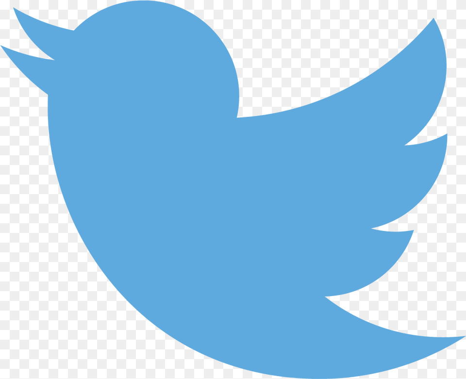 Fun Twitter Bird Transparent Background Images Burung, Animal, Fish, Logo, Sea Life Free Png Download