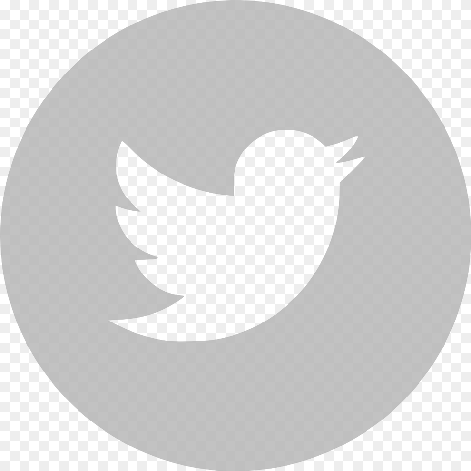 Fun Twitter Icon Grey Images Twitter White Circle Logo, Stencil, Silhouette, Symbol, Shark Free Png Download