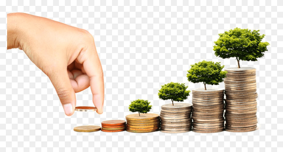 Fund Mutual Fund Investment, Plant, Potted Plant, Baby, Person Free Png