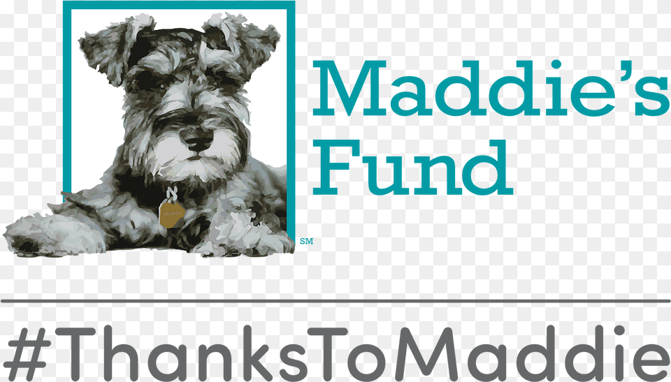 Fund Thanks To Maddie, Adult, Wedding, Person, Woman Png Image