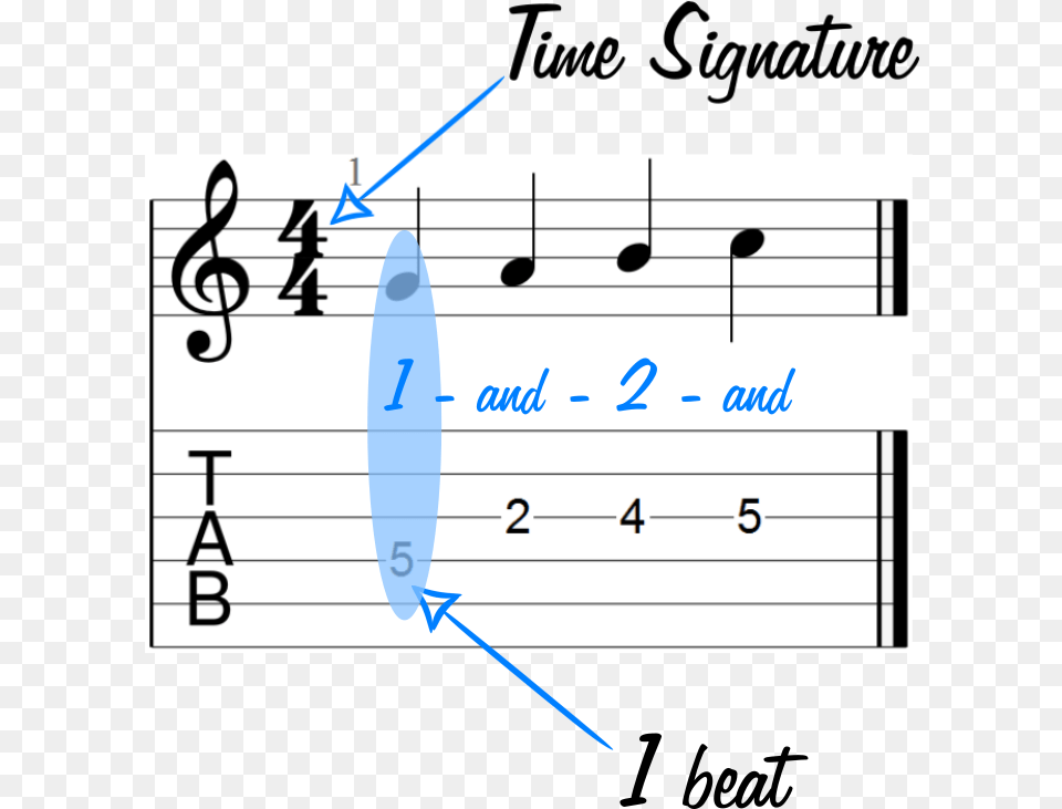 Fundamentals Of Sheet Music And Guitar Tabs Chalk Printable Treble Clef Notes, Text, Person Free Transparent Png