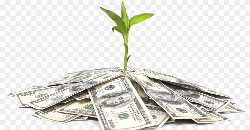 Funding Agencies, Money, Dollar, Plant, Person Free Transparent Png