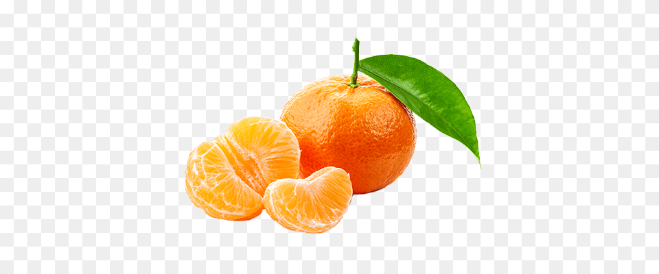 Fundo Sofruco, Citrus Fruit, Food, Fruit, Orange Png