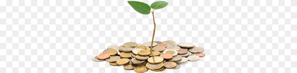 Fundraising Free Image Fund Raising, Leaf, Plant, Coin, Money Png