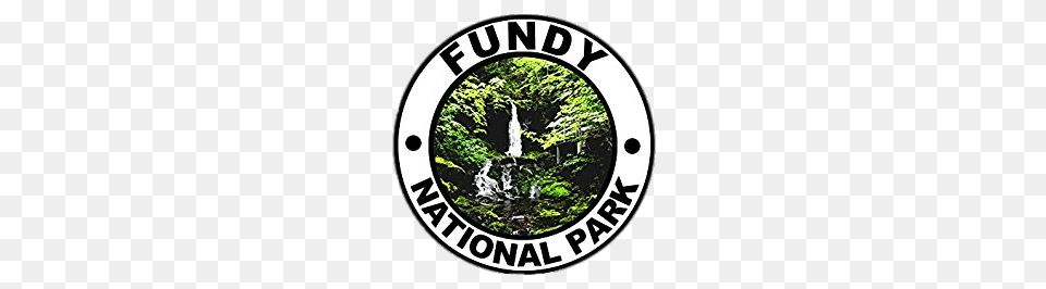 Fundy National Park Round Sticker, Woodland, Vegetation, Tree, Rainforest Free Png Download