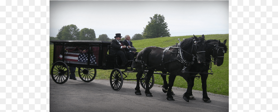 Funeral Carriages Horse And Buggy, Adult, Person, Male, Man Free Png