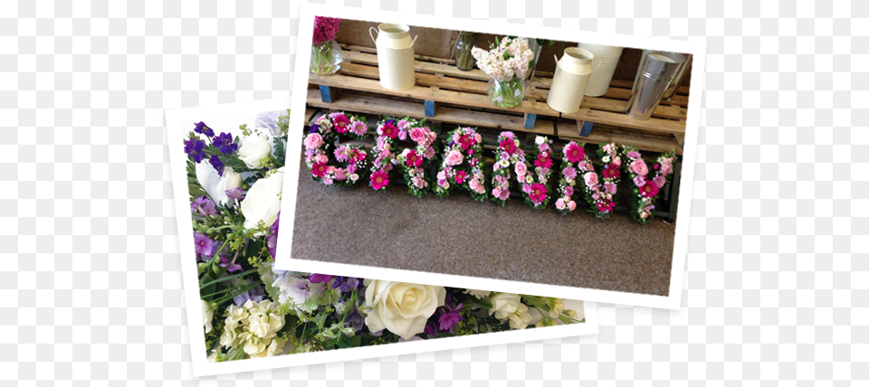 Funeral Flowers Hampshire Garden Roses, Flower, Flower Arrangement, Flower Bouquet, Plant Png