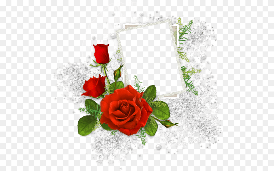 Funeral Frames And Borders, Flower, Plant, Rose, Flower Arrangement Png