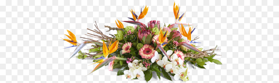 Funeral Spray Hidden Presence Quino Damen, Plant, Pattern, Graphics, Flower Bouquet Free Png