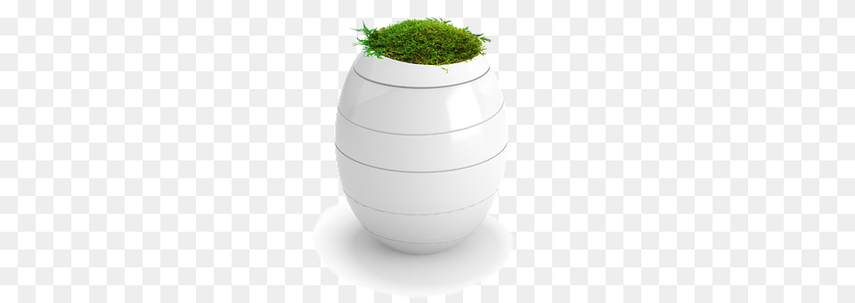 Funeral Urns Jar, Moss, Plant, Planter Png Image