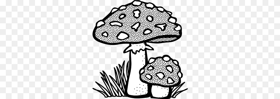 Fungal Fungus, Mushroom, Plant, Agaric Free Transparent Png