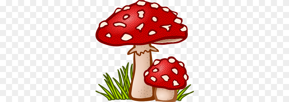 Fungal Agaric, Fungus, Mushroom, Plant Free Png