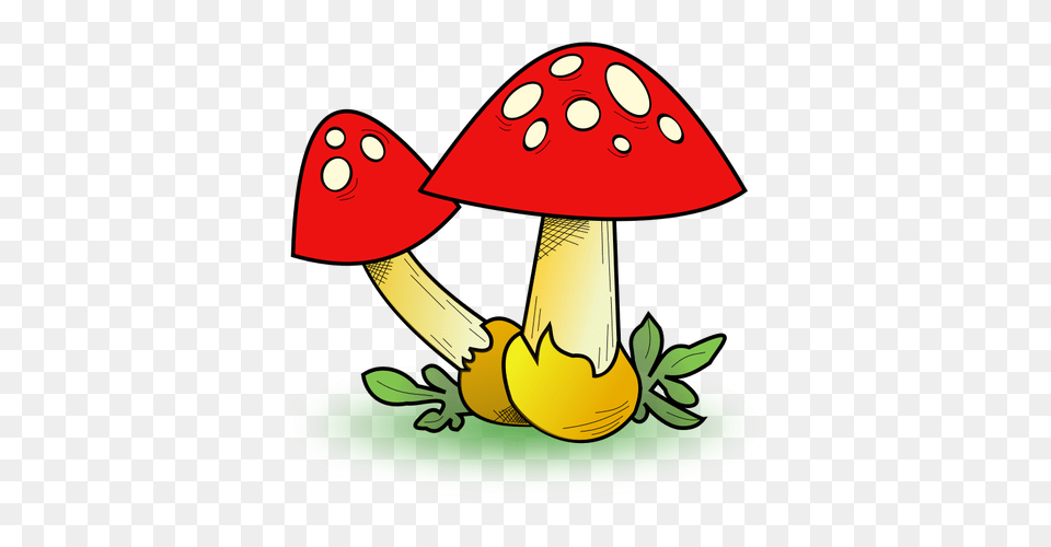 Fungal Forest, Agaric, Fungus, Mushroom, Plant Png