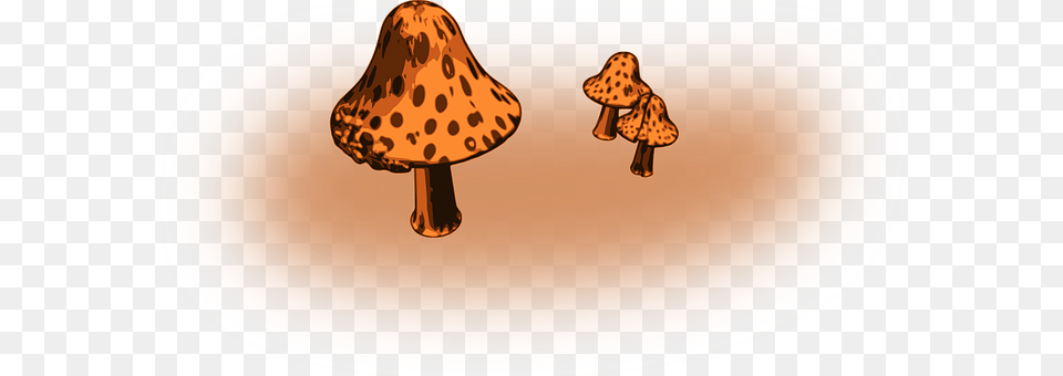 Fungi Agaric, Fungus, Mushroom, Plant Free Png