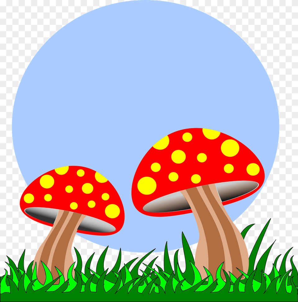 Fungi Cartoon, Fungus, Plant, Agaric, Mushroom Png Image