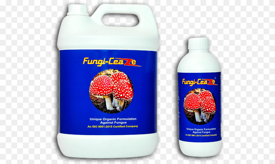 Fungi Ceaze Plastic Bottle, Fungus, Plant, Mushroom, Agaric Png