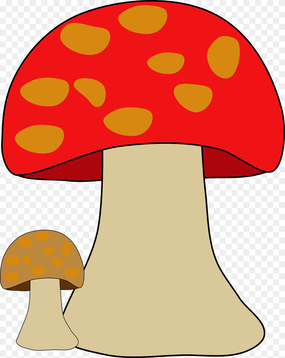 Fungi Fungus Mushroom Photo Animasi Jamur Tiram, Agaric, Plant, Amanita Free Png