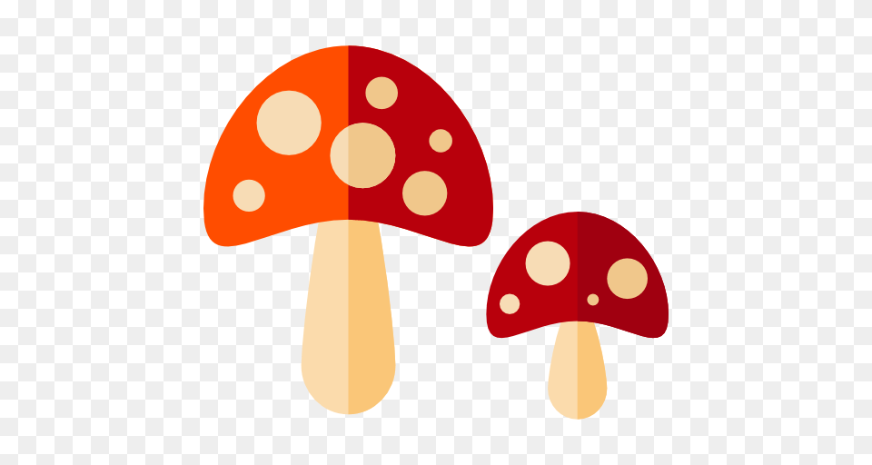 Fungi Muscaria Food And Restaurant Food Mushroom Nature, Agaric, Fungus, Plant Free Png