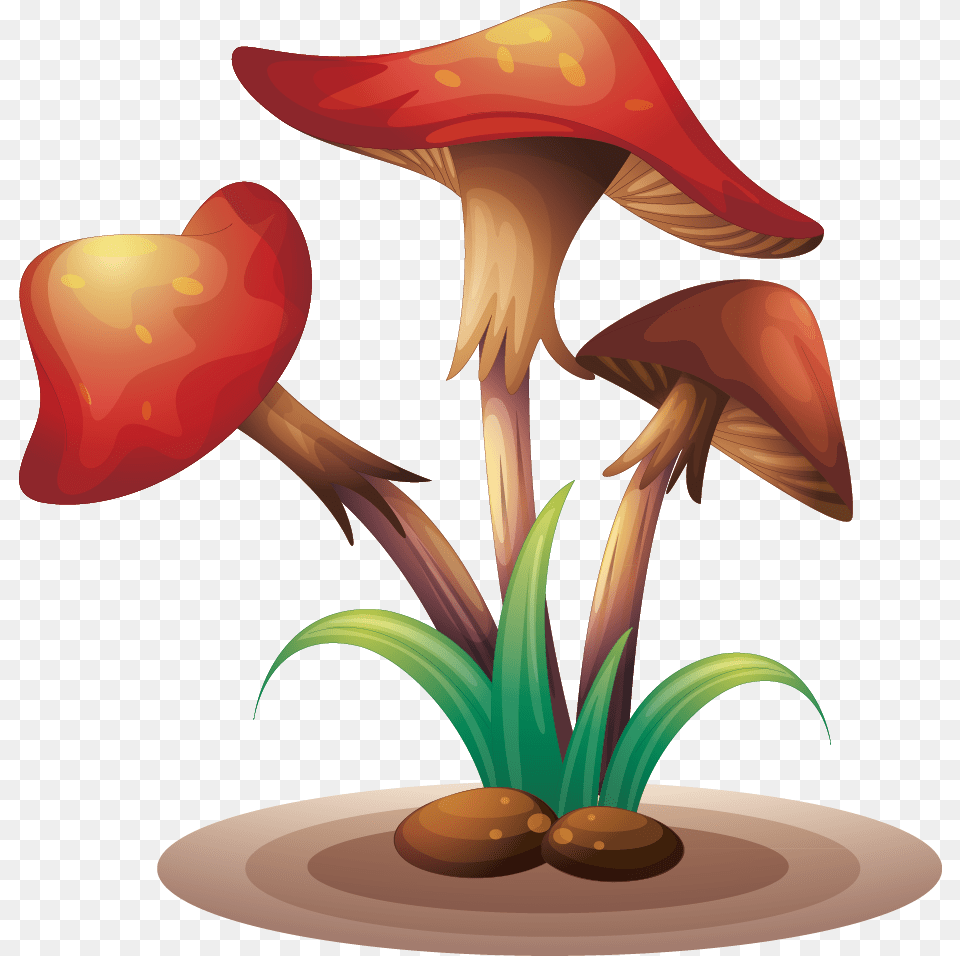 Fungus Clip Art Mushrooms Illustration, Mushroom, Plant, Agaric, Animal Free Transparent Png