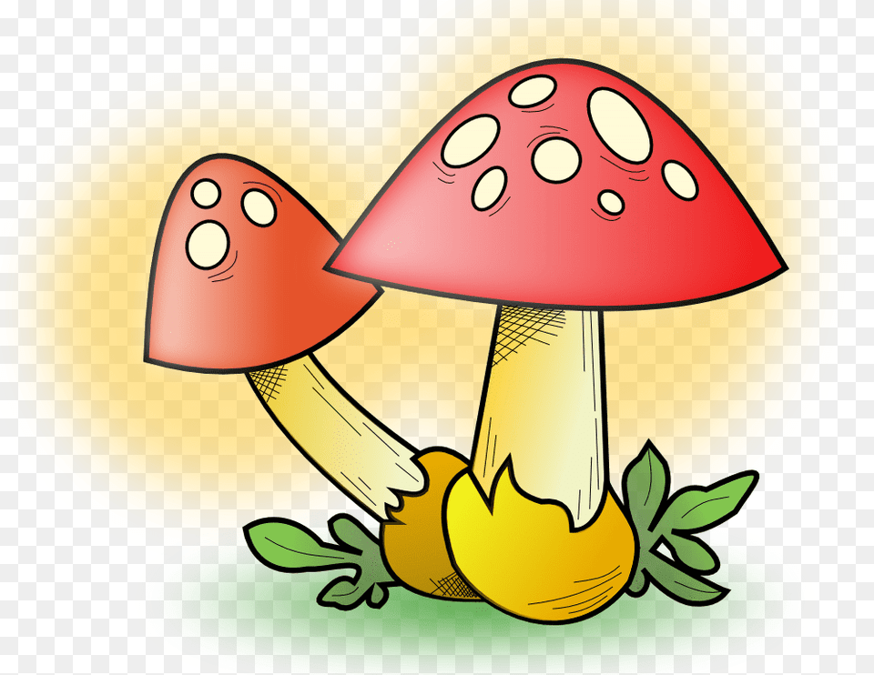 Fungus Decomposer Clip Art, Agaric, Mushroom, Plant Png