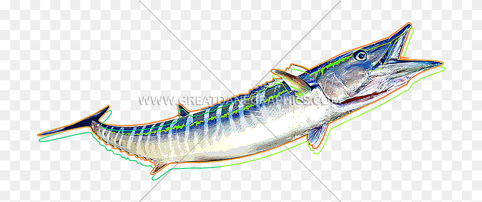 Funky Production Ready Artwork Ray Finned Fish, Animal, Sea Life, Shark, Tuna Png Image