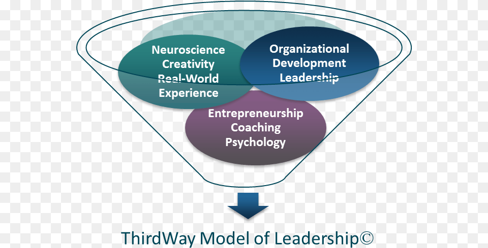 Funnel Leadership Theory Of Entrepreneurship, Alcohol, Beverage, Cocktail, Disk Free Transparent Png