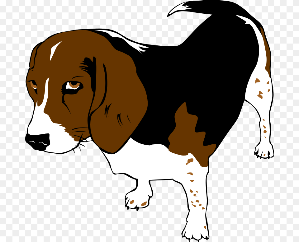 Funny Animal Clipart, Mammal, Hound, Pet, Dog Free Transparent Png