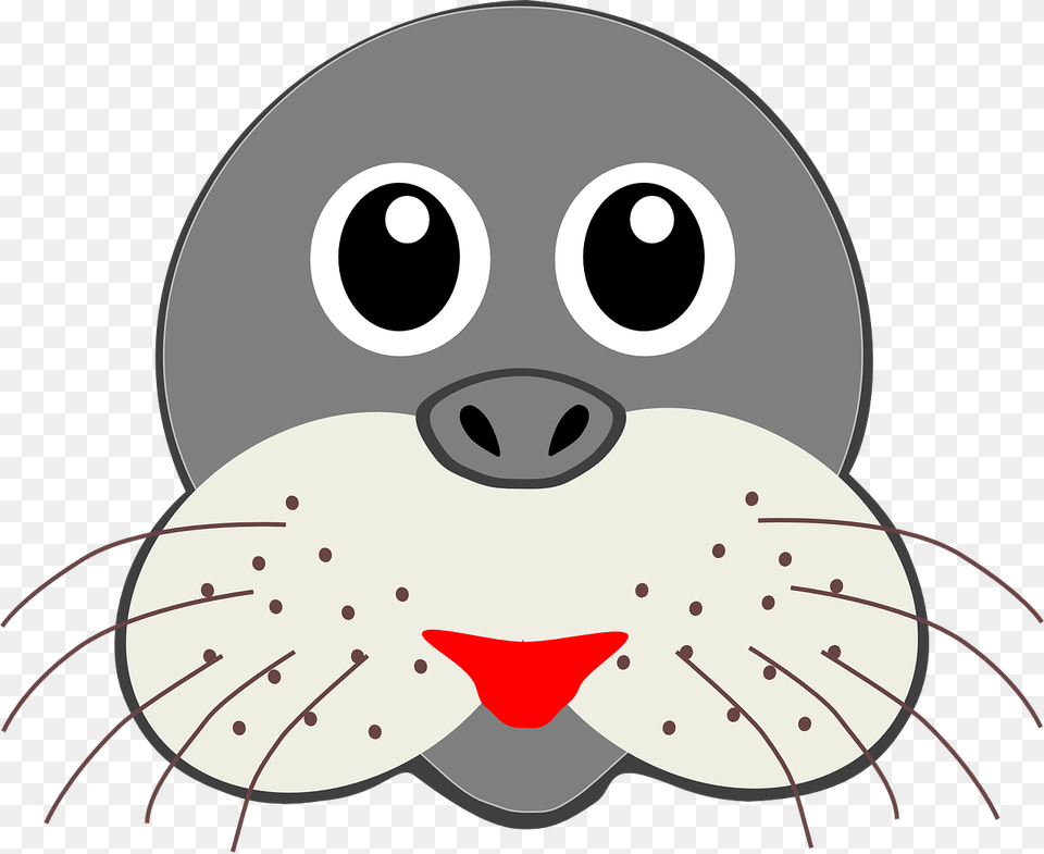 Funny Animal Faces Cartoon, Baby, Person, Sea Life, Mammal Png Image