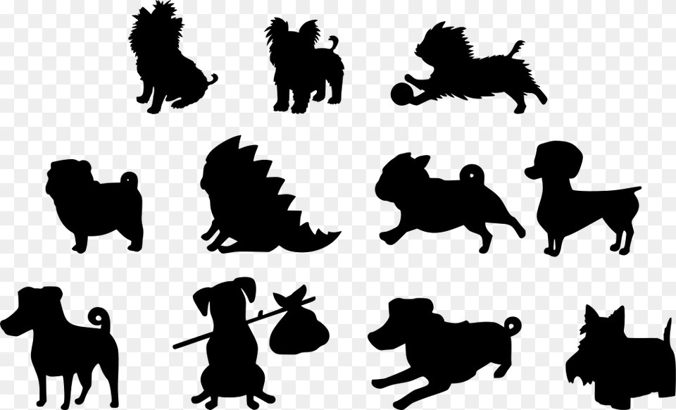 Funny Animal Graphic, Gray Free Png Download