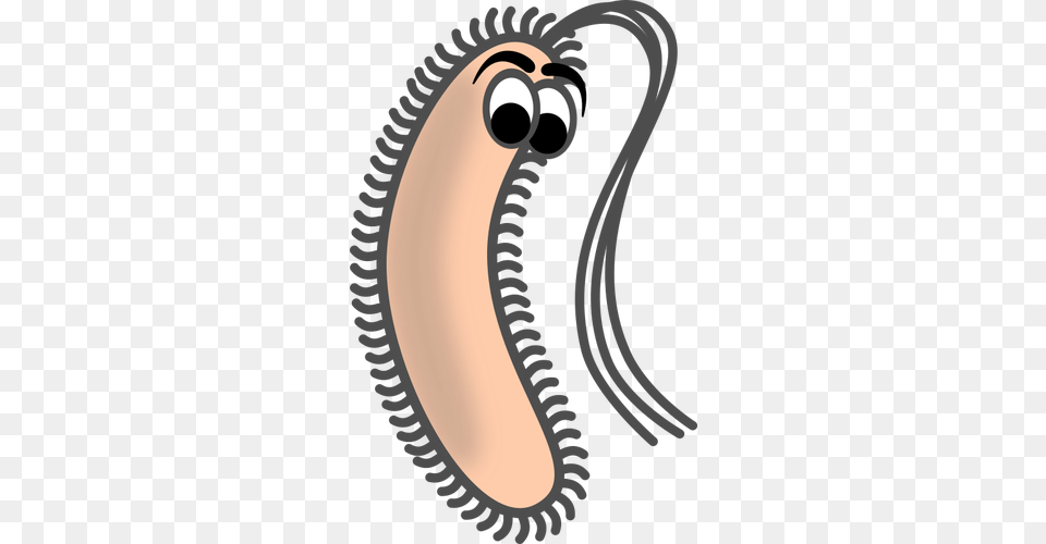 Funny Bacillus Png Image