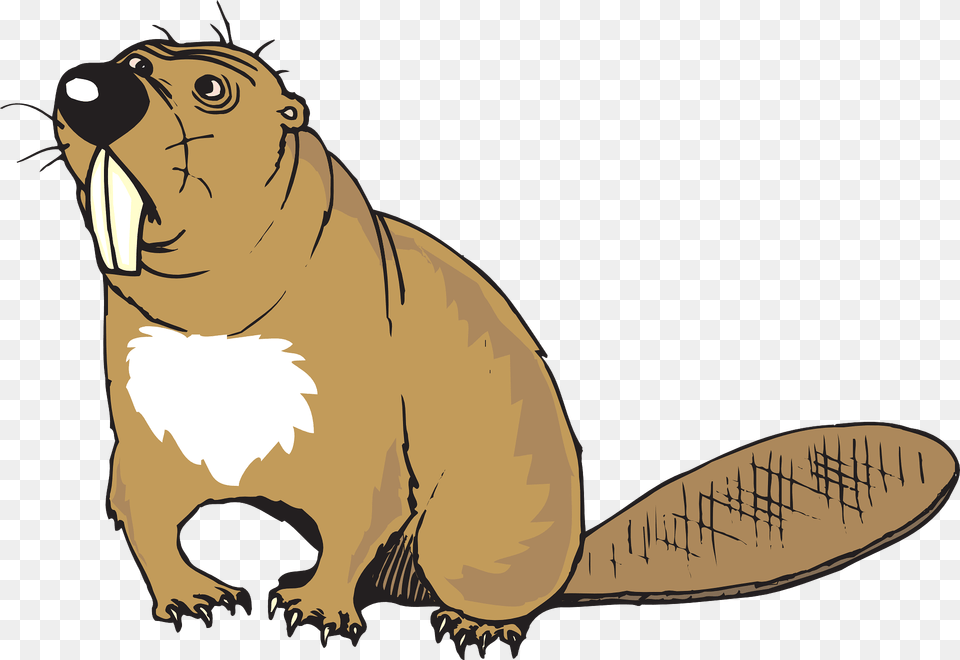 Funny Beaver Clipart, Animal, Mammal, Rodent, Wildlife Png Image