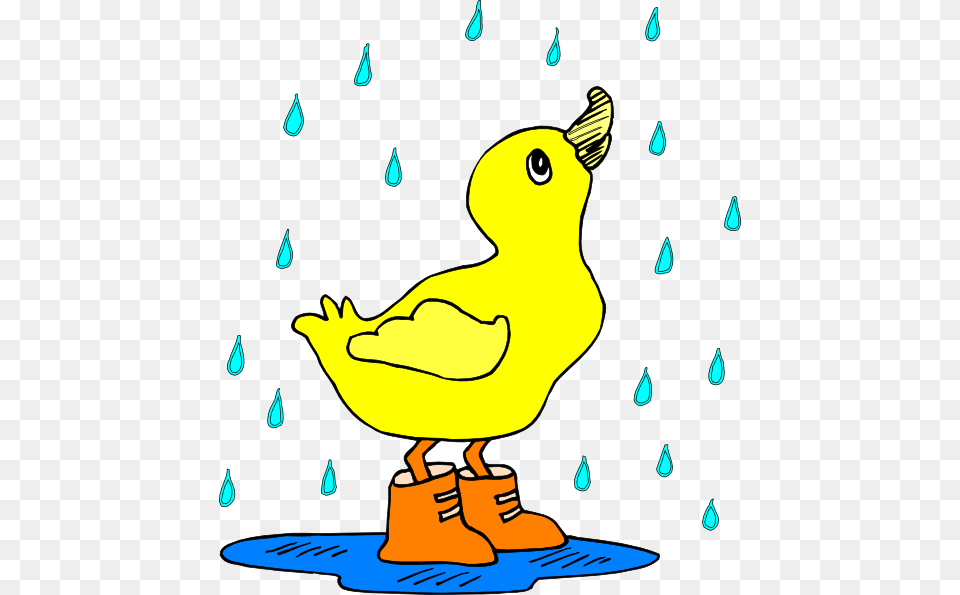 Funny Clipart Rain, Animal, Beak, Bird Free Png