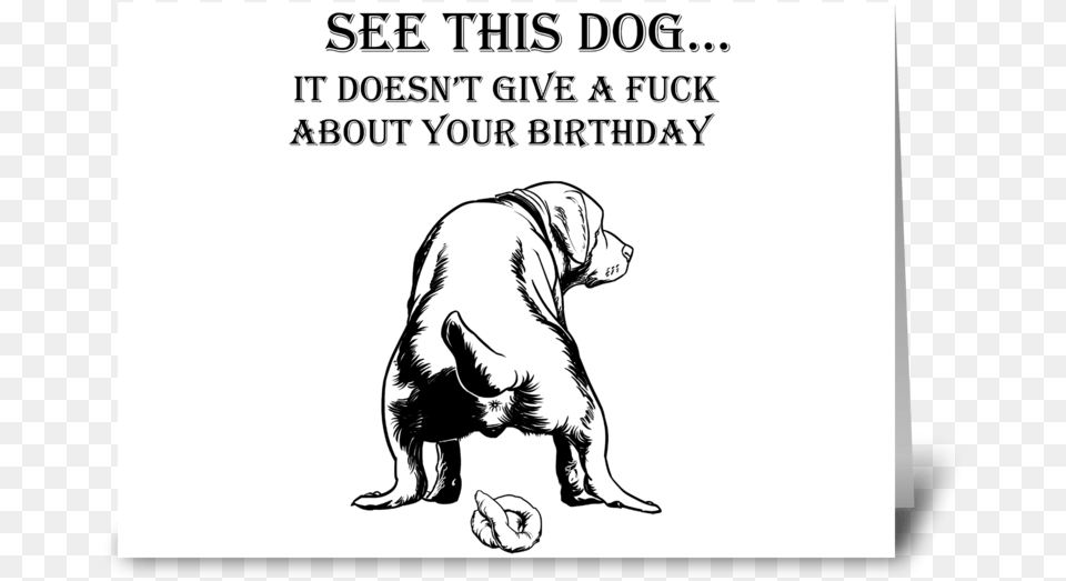 Funny Dog Birthday Card Greeting Card Funny Dog Birthday Greeting, Animal, Canine, Mammal, Pet Free Png