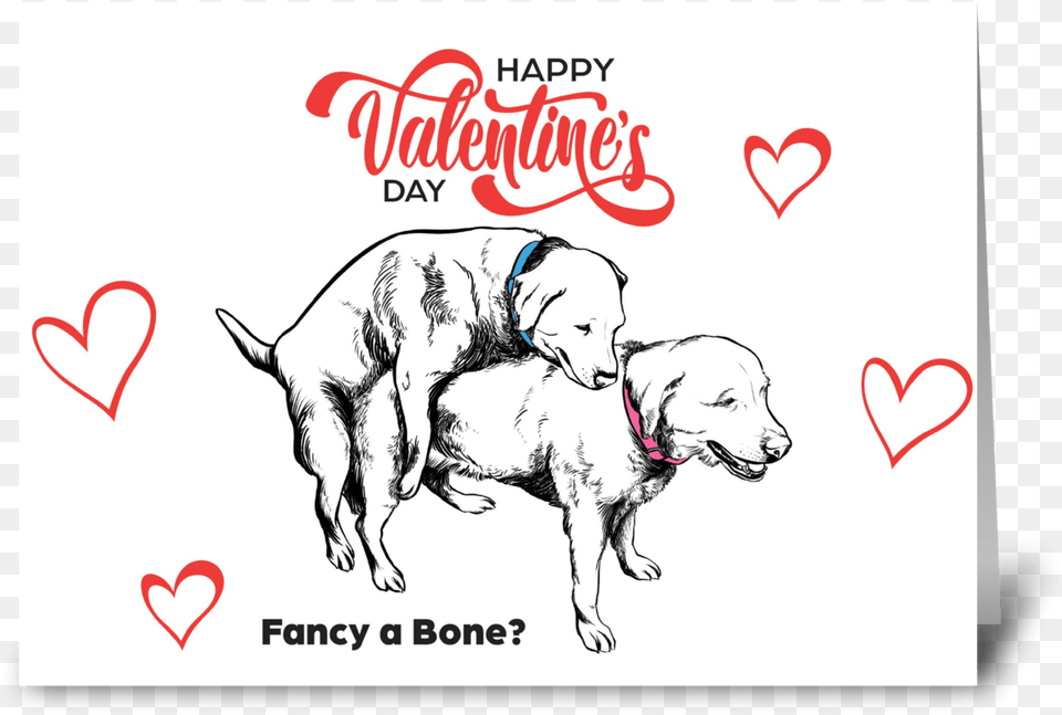 Funny Dog Valentines Card Illustration, Animal, Canine, Envelope, Greeting Card Png Image