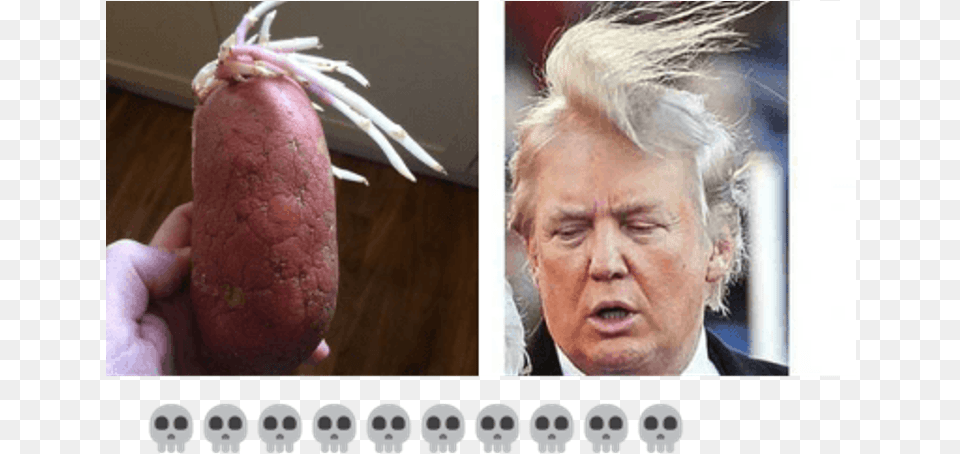 Funny Donald Trump Memes Donald Trump Wearing Wig, Adult, Male, Man, Person Png