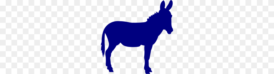 Funny Donkey Clipart, Animal, Mammal Free Png Download