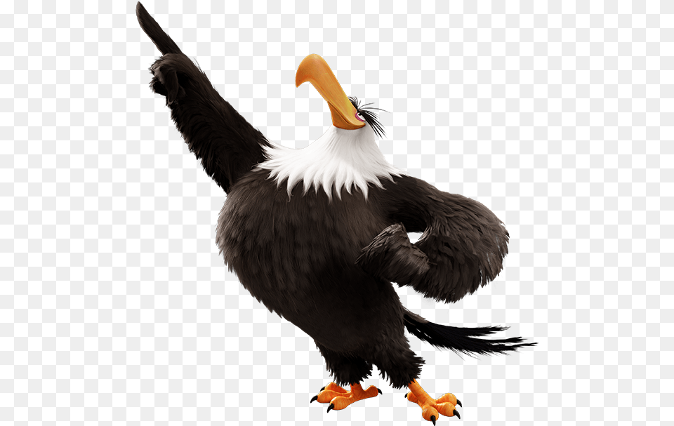 Funny Eagle Clipart Image 9 Mighty Eagle Angry Birds, Animal, Beak, Bird Free Png Download