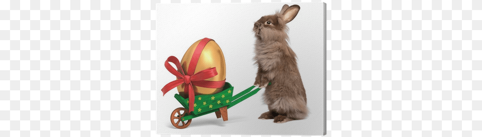 Funny Easter Rabbit With A Green Wheelbarrow And Golden Easter Bunny With Golden Eggs, Animal, Mammal, Rat, Rodent Free Png